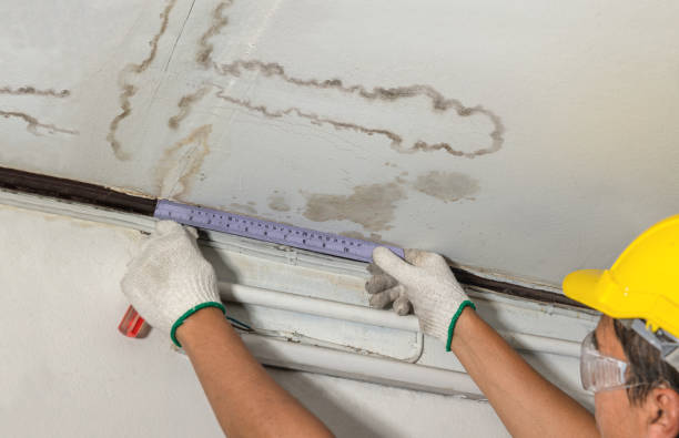 Reliable Burst Pipe Cleanup contractor in Olar, SC by Water Damage Irwin